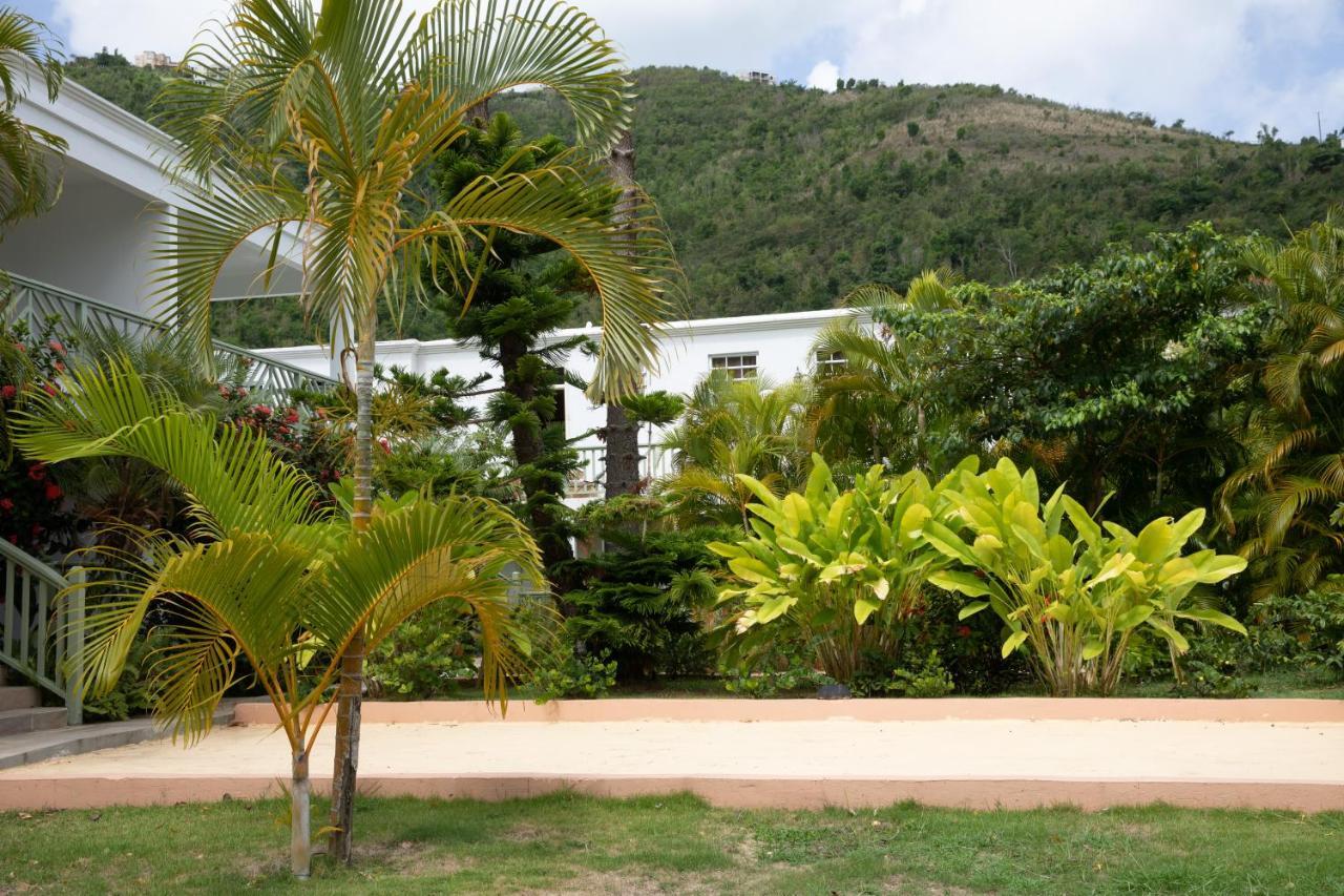 Icis Villas Brewers Bay Esterno foto