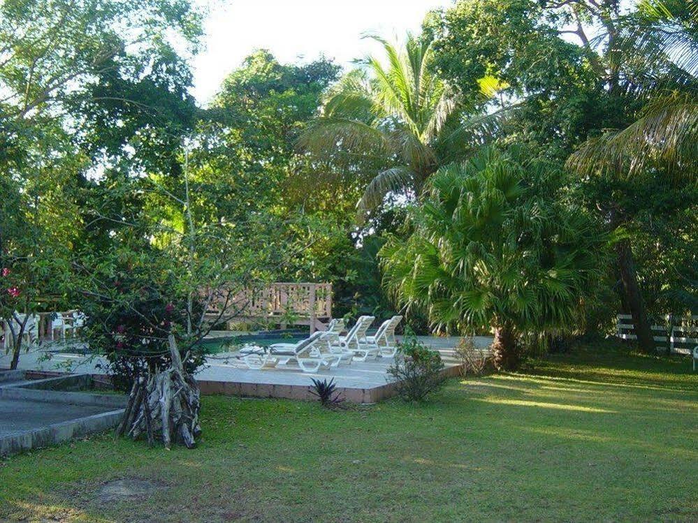 Icis Villas Brewers Bay Esterno foto